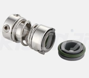 GF01 Grundfos Seal